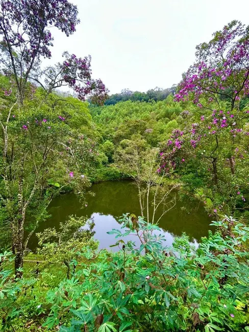 Foto 6 de Chácara com 3 quartos à venda, 2000m2 em Nazare Paulista - SP