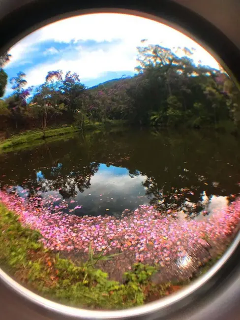Foto 4 de Chácara com 3 quartos à venda, 2000m2 em Nazare Paulista - SP