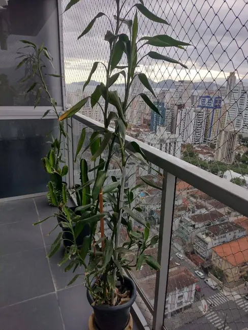 Foto 8 de Apartamento com 1 quarto à venda, 74m2 em Embaré, Santos - SP