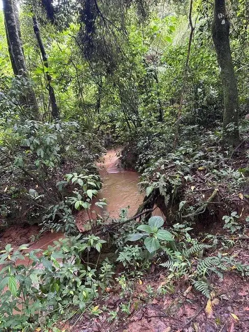 Foto 9 de Terreno / Lote à venda, 20000m2 em Camanducaia - MG