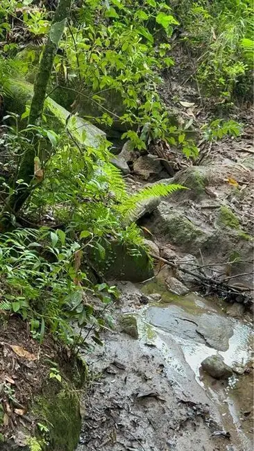 Foto 3 de Terreno / Lote à venda, 20000m2 em Camanducaia - MG