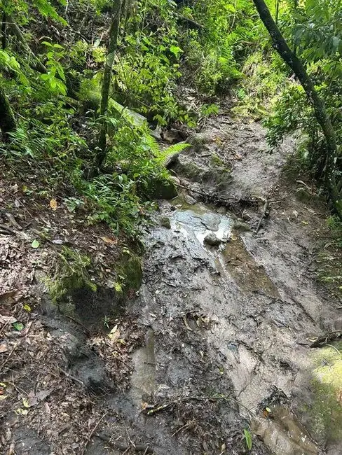 Foto 8 de Terreno / Lote à venda, 20000m2 em Camanducaia - MG