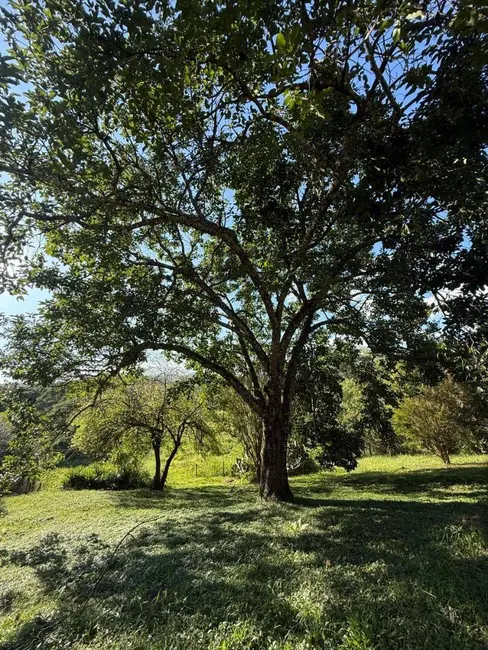 Foto 6 de Chácara com 3 quartos à venda, 19000m2 em Extrema - MG
