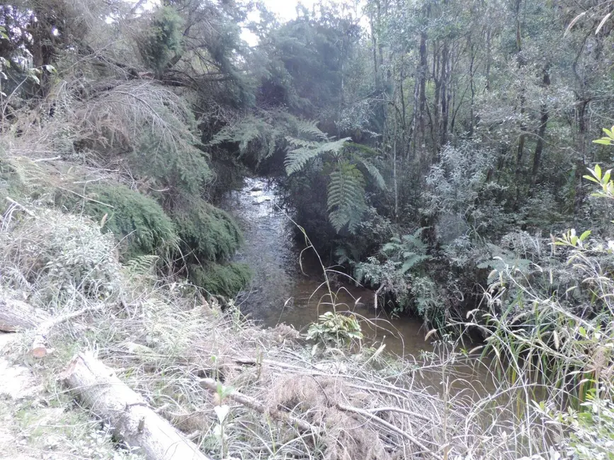 Foto 7 de Sítio / Rancho com 2 quartos à venda, 1000000m2 em Campos Do Jordao - SP