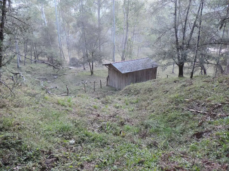 Foto 4 de Sítio / Rancho com 2 quartos à venda, 1000000m2 em Campos Do Jordao - SP
