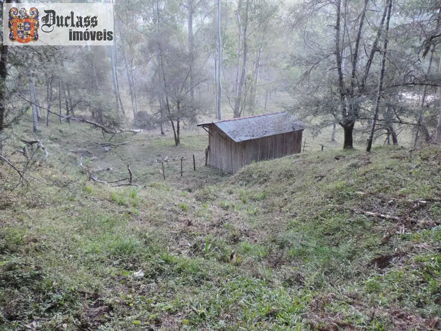 Sítio / Rancho com 2 quartos à venda, 1000000m2 em Campos Do Jordao - SP - imagem 4 Foto 4 de Sítio / Rancho com 2 quartos à venda, 1000000m2 em Campos Do Jordao - SP