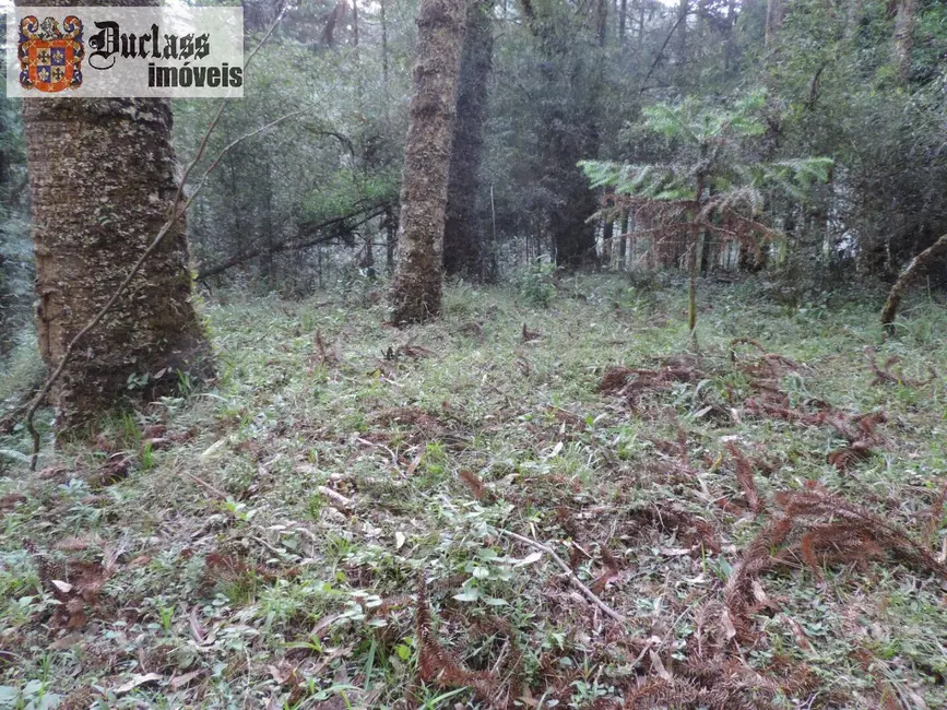 Sítio / Rancho com 2 quartos à venda, 1000000m2 em Campos Do Jordao - SP - imagem 9 Foto 9 de Sítio / Rancho com 2 quartos à venda, 1000000m2 em Campos Do Jordao - SP