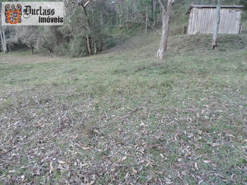 Sítio / Rancho com 2 quartos à venda, 1000000m2 em Campos Do Jordao - SP - imagem 6 Foto 6 de Sítio / Rancho com 2 quartos à venda, 1000000m2 em Campos Do Jordao - SP