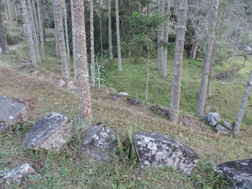 Foto 2 de Sítio / Rancho com 2 quartos à venda, 1000000m2 em Campos Do Jordao - SP