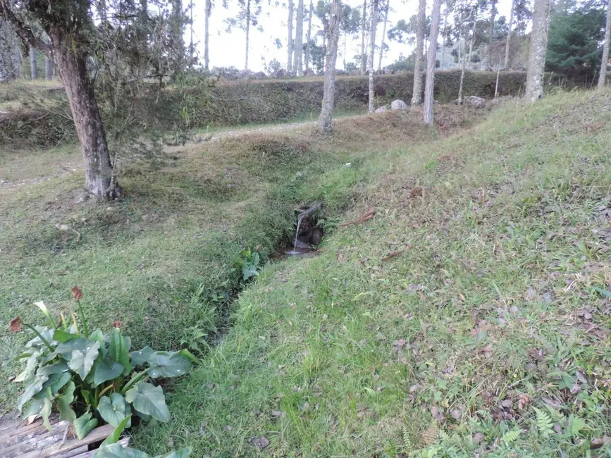 Foto 3 de Sítio / Rancho com 2 quartos à venda, 1000000m2 em Campos Do Jordao - SP