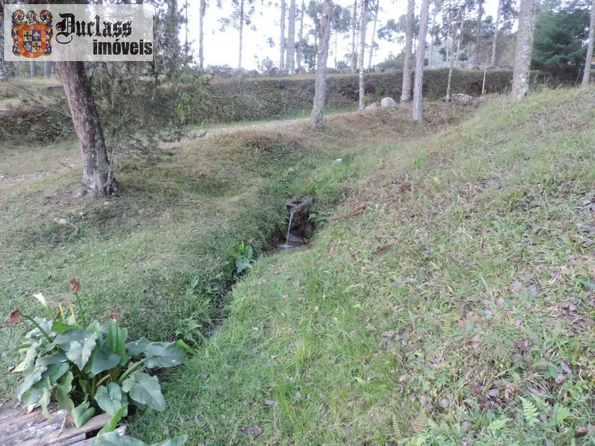 Sítio / Rancho com 2 quartos à venda, 1000000m2 em Campos Do Jordao - SP - imagem 3 Foto 3 de Sítio / Rancho com 2 quartos à venda, 1000000m2 em Campos Do Jordao - SP