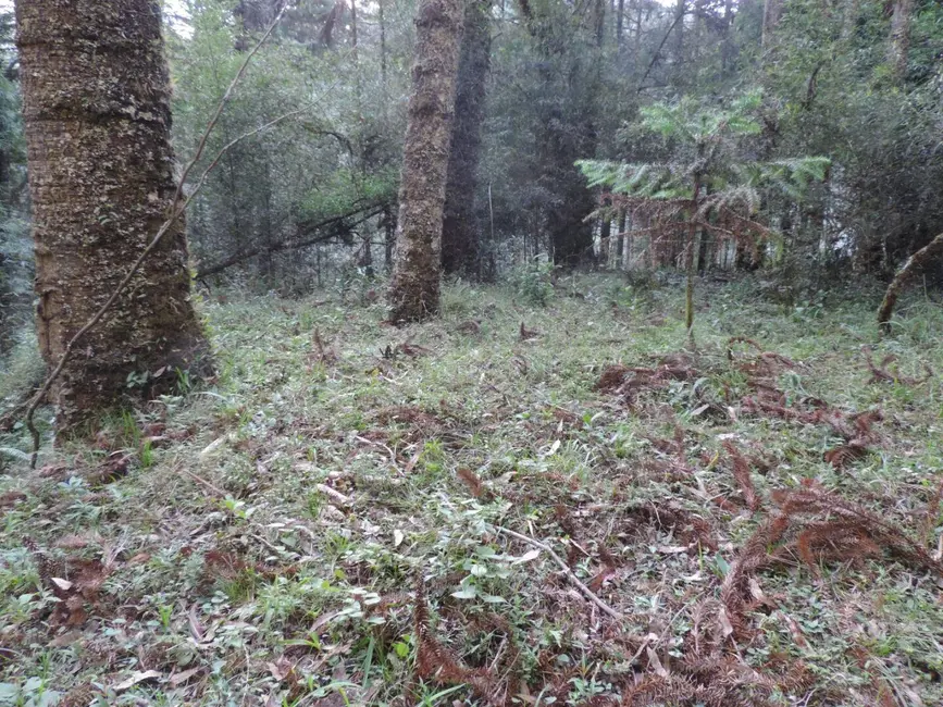 Foto 9 de Sítio / Rancho com 2 quartos à venda, 1000000m2 em Campos Do Jordao - SP