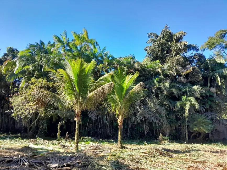 Foto 1 de Terreno / Lote à venda, 500m2 em Ubatuba - SP