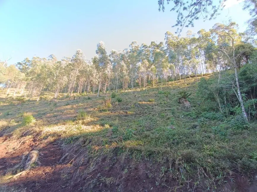 Foto 3 de Sala Comercial à venda, 145200m2 em Camanducaia - MG