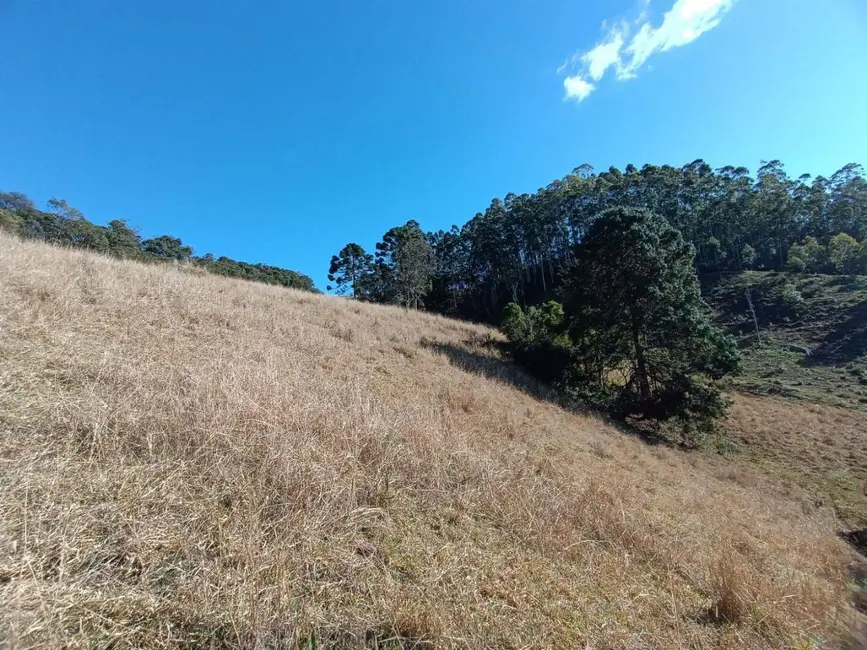 Foto 9 de Sala Comercial à venda, 145200m2 em Camanducaia - MG
