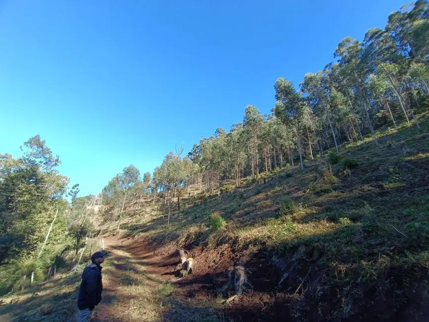 Foto 4 de Sala Comercial à venda, 145200m2 em Camanducaia - MG