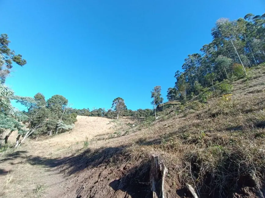 Foto 5 de Sala Comercial à venda, 145200m2 em Camanducaia - MG