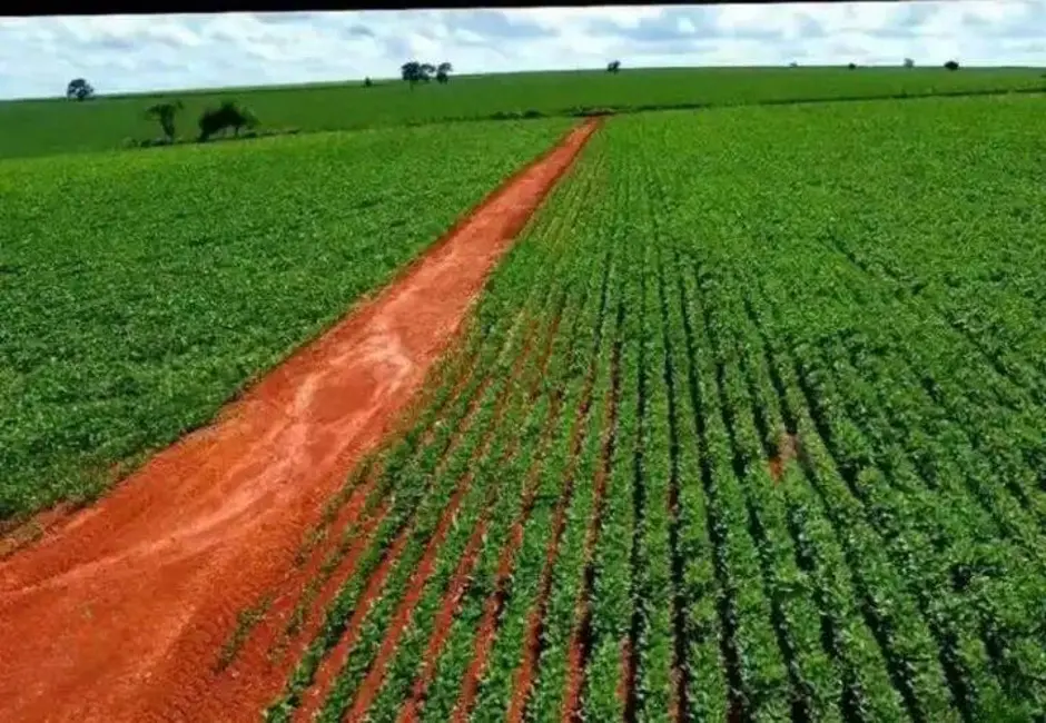 Foto 6 de Fazenda / Haras à venda, 2305534m2 em Tatui - SP