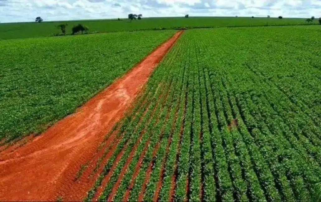 Foto 2 de Fazenda / Haras à venda, 2305534m2 em Tatui - SP