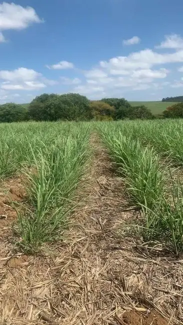 Foto 5 de Fazenda / Haras à venda, 2305534m2 em Tatui - SP