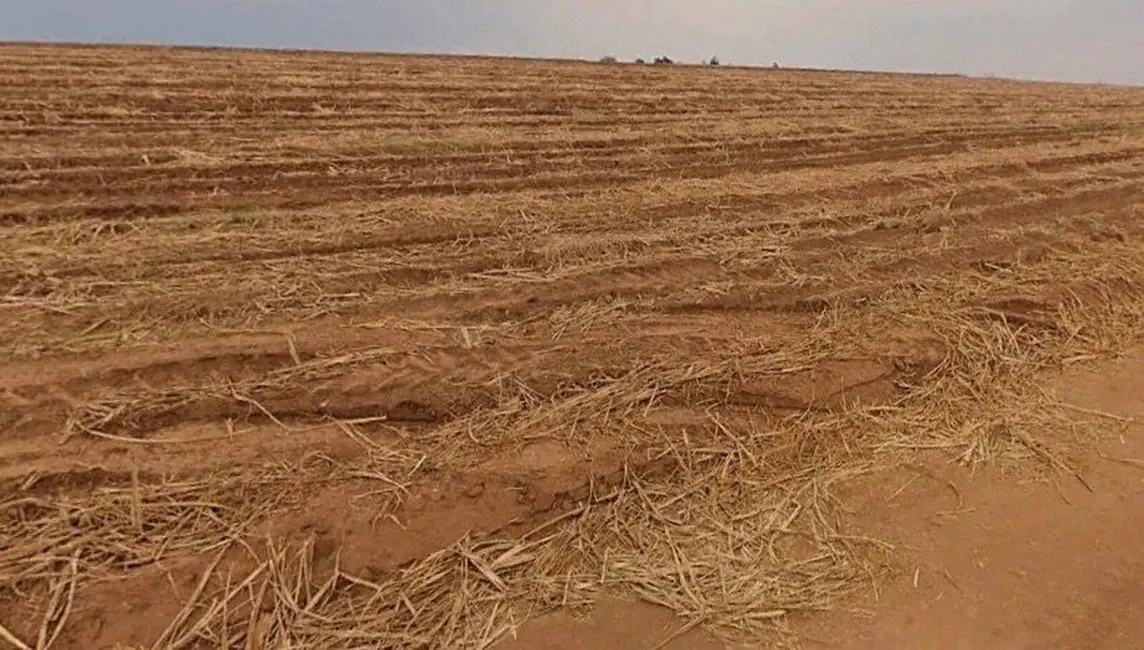 Foto 6 de Fazenda / Haras à venda, 3872000m2 em Porto Feliz - SP