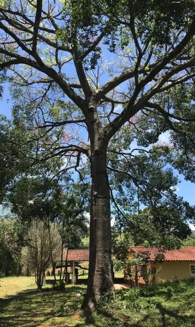 Foto 9 de Sítio / Rancho com 2 quartos à venda, 100m2 em Extrema - MG