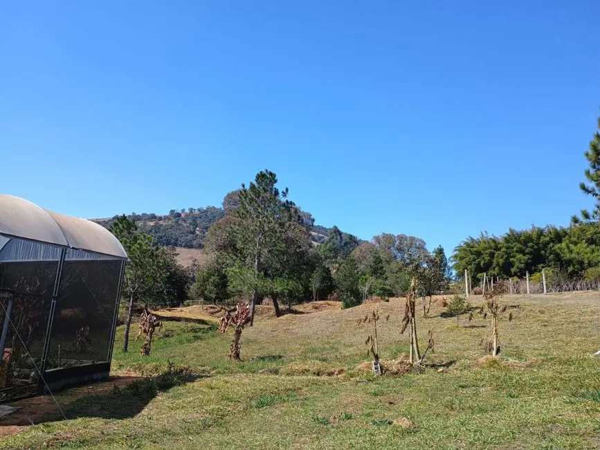 Foto 5 de Sítio / Rancho com 3 quartos à venda, 170m2 em Itapeva - MG
