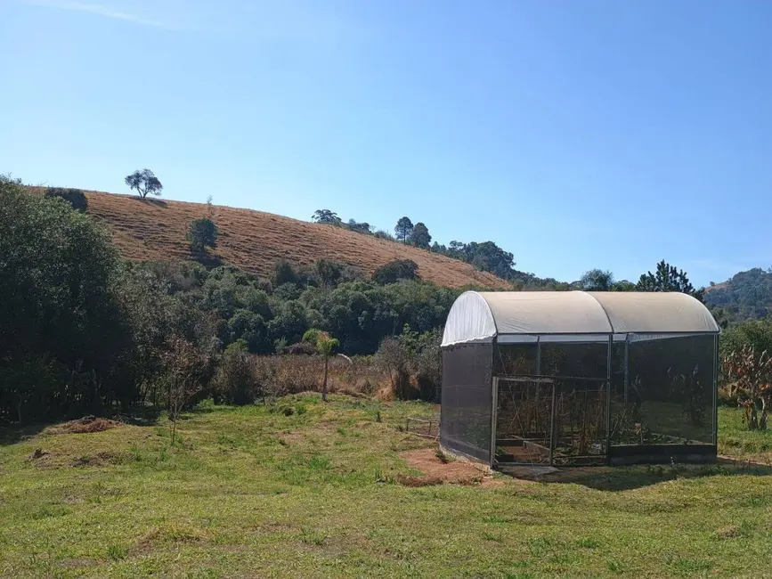 Foto 6 de Sítio / Rancho com 3 quartos à venda, 170m2 em Itapeva - MG