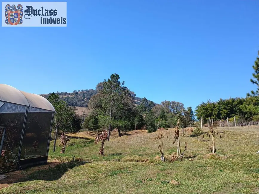 Foto 5 de Sítio / Rancho com 3 quartos à venda, 170m2 em Itapeva - MG