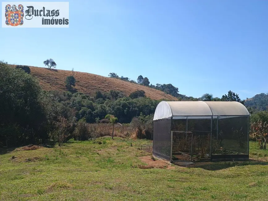 Foto 6 de Sítio / Rancho com 3 quartos à venda, 170m2 em Itapeva - MG