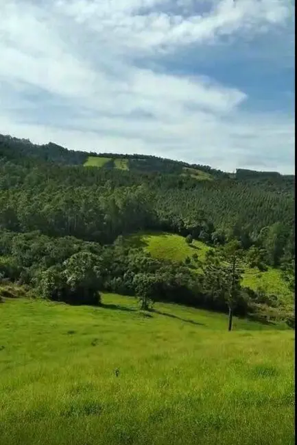 Foto 1 de Sala Comercial à venda, 51554m2 em Camanducaia - MG