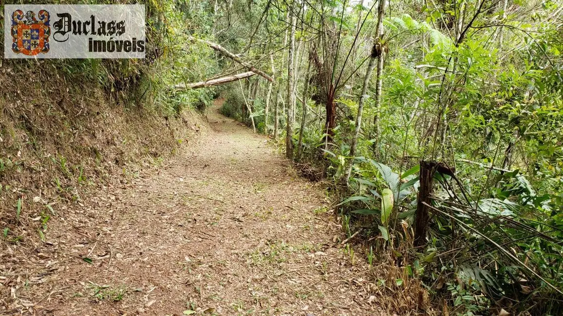 Foto 3 de Terreno / Lote à venda, 303m2 em Cézar de Souza, Mogi Das Cruzes - SP