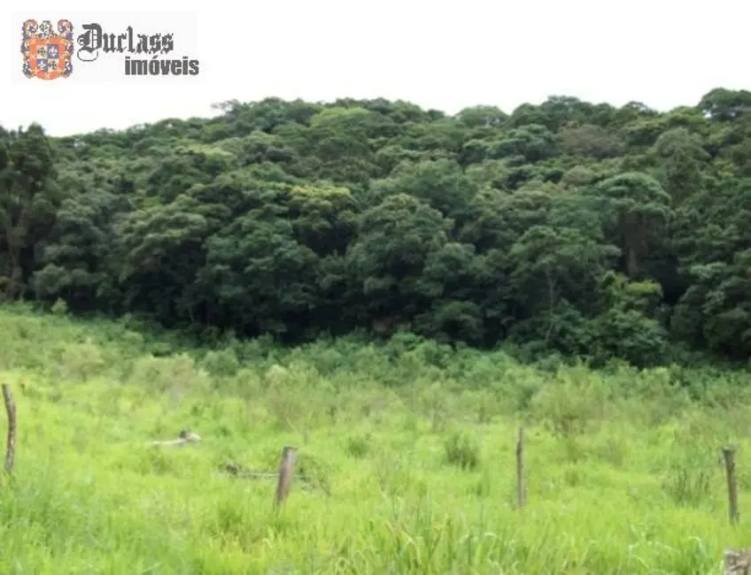 Foto 6 de Chácara à venda, 49000m2 em Camanducaia - MG