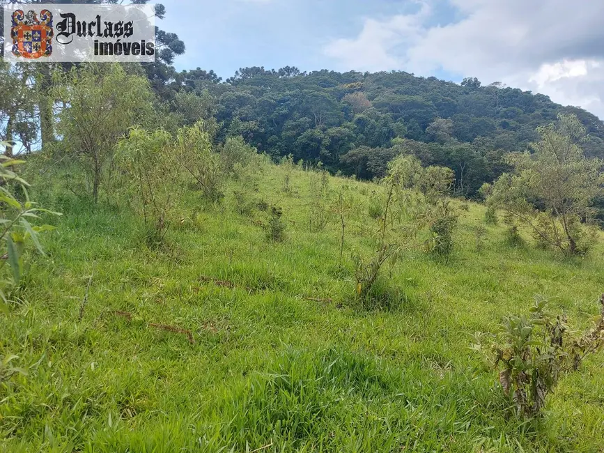 Foto 5 de Chácara à venda, 49000m2 em Camanducaia - MG