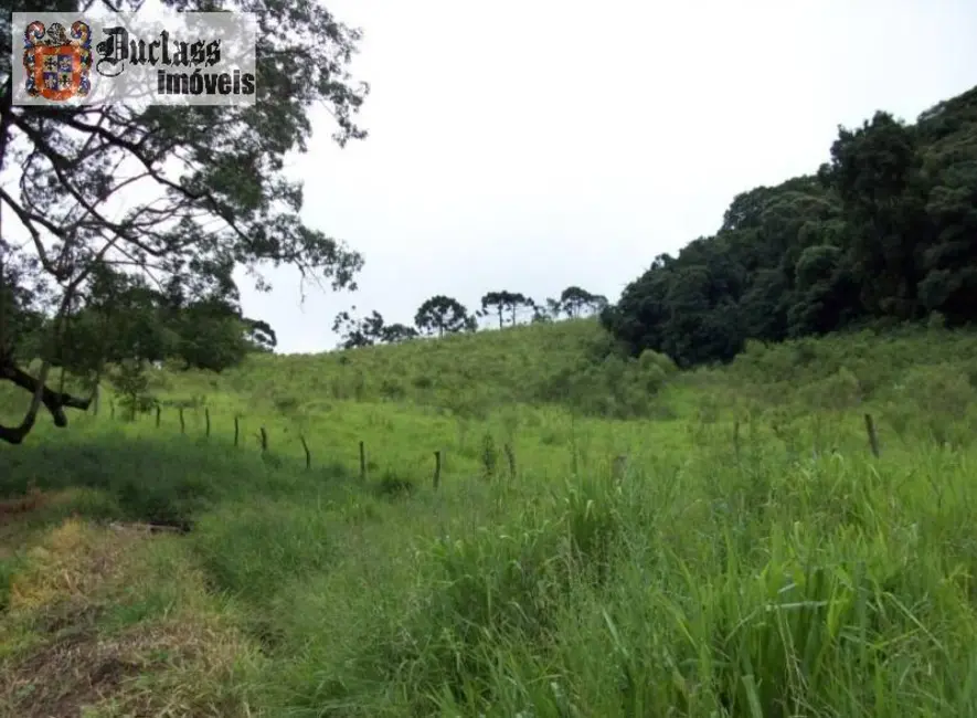 Foto 2 de Chácara à venda, 49000m2 em Camanducaia - MG