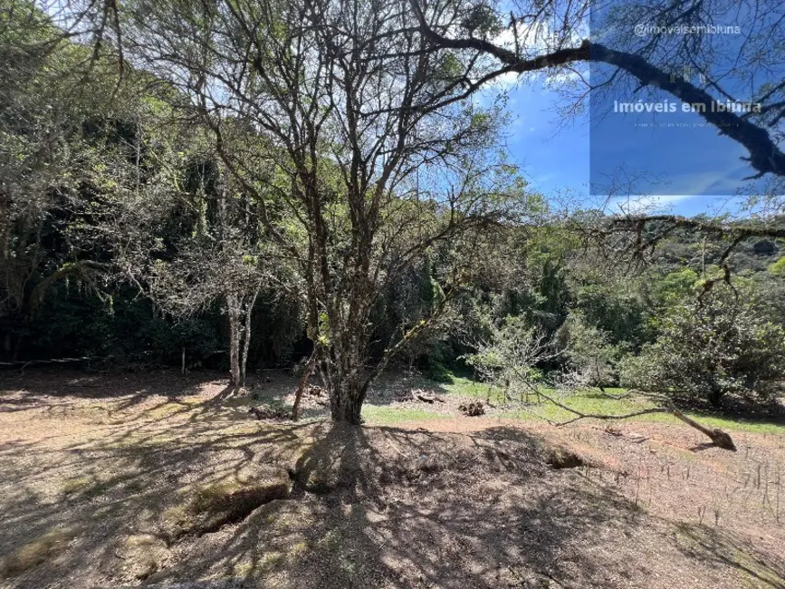 Foto 8 de Sítio / Rancho com 3 quartos à venda, 250m2 em Ibiuna - SP