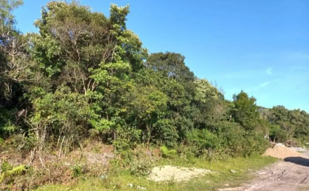 Foto 3 de Terreno / Lote à venda, 280m2 em Itanhaem - SP