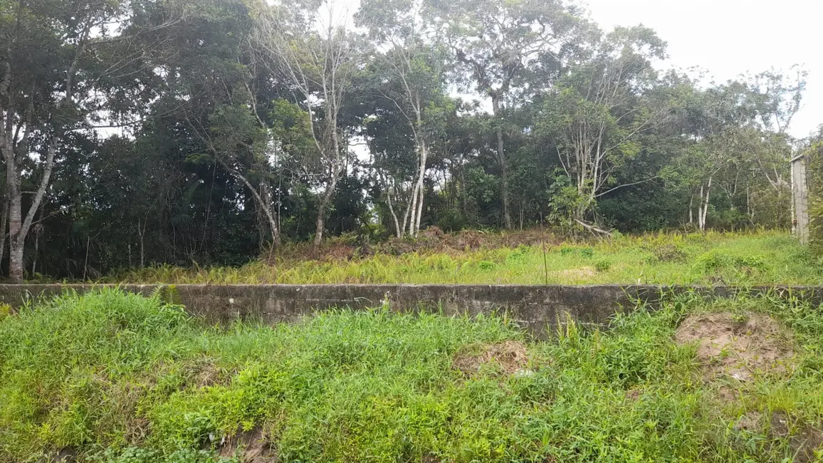 Foto 4 de Terreno / Lote à venda, 1625m2 em Mongagua - SP