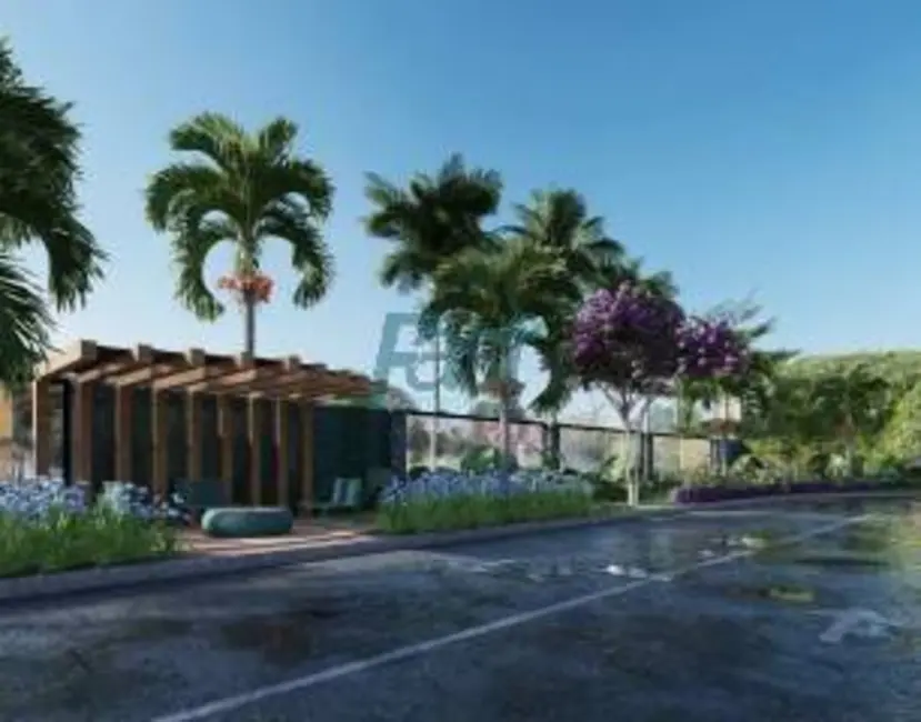 Apartamento com 5 quartos à venda, 497m2 em Jardim das Américas, Cuiaba - MT - imagem 8 Foto 8 de Apartamento com 5 quartos à venda, 497m2 em Jardim das Américas, Cuiaba - MT