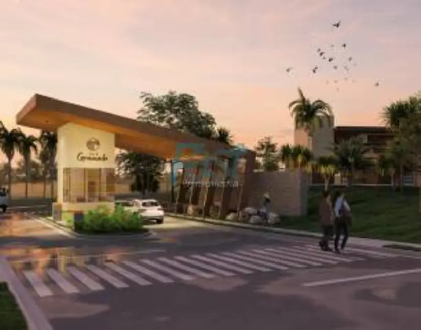 Terreno / Lote à venda, 1500m2 em Despraiado, Cuiaba - MT - imagem 5 Foto 5 de Terreno / Lote à venda, 1500m2 em Despraiado, Cuiaba - MT