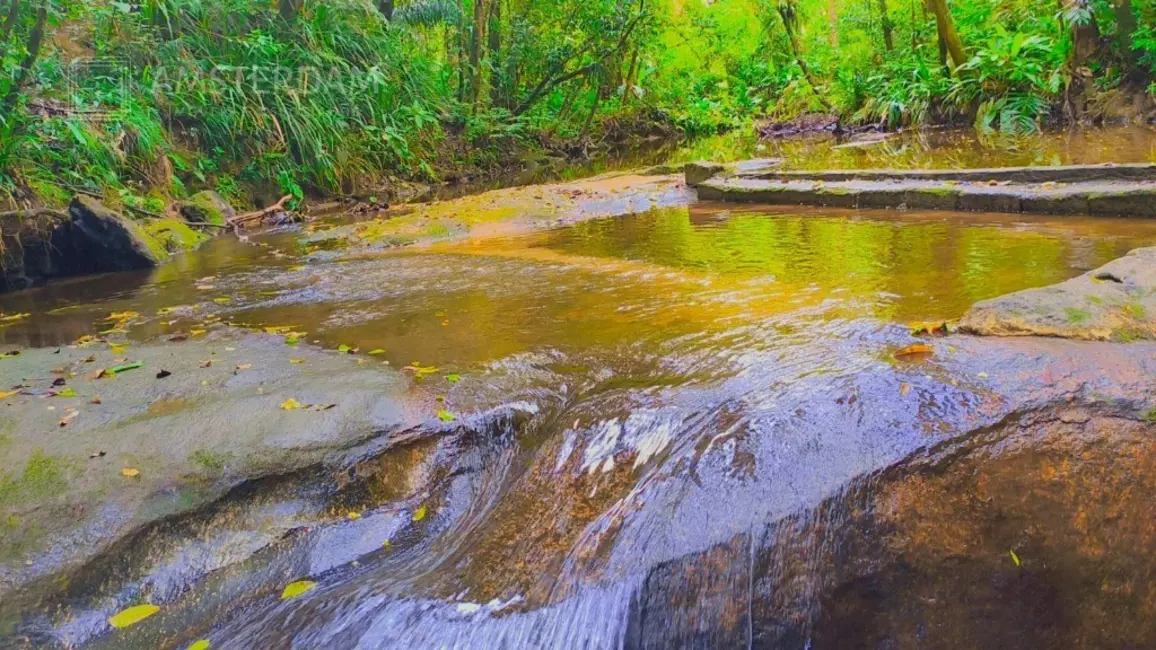 Foto 1 de Sítio / Rancho com 3 quartos à venda, 300m2 em Bertioga - SP