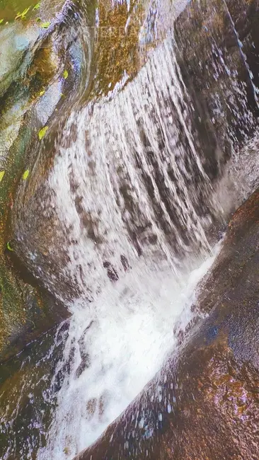 Foto 8 de Sítio / Rancho com 3 quartos à venda, 300m2 em Bertioga - SP