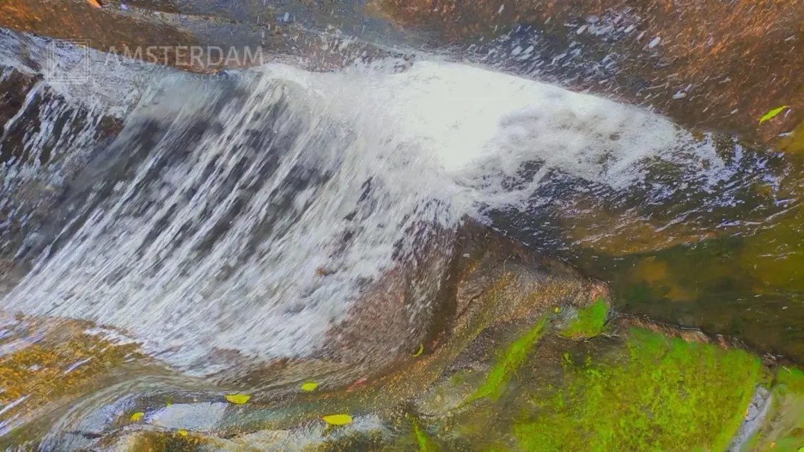 Foto 5 de Sítio / Rancho com 3 quartos à venda, 300m2 em Bertioga - SP