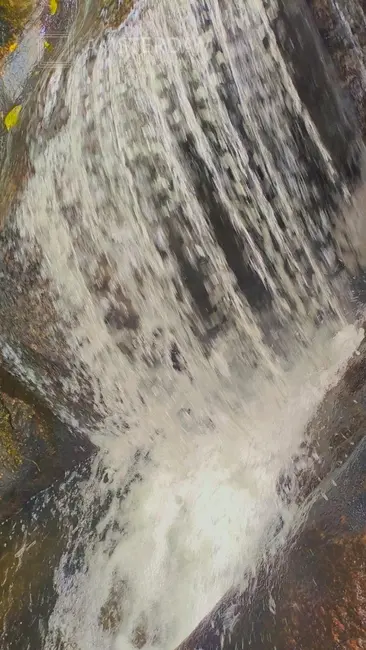 Foto 6 de Sítio / Rancho com 3 quartos à venda, 300m2 em Bertioga - SP