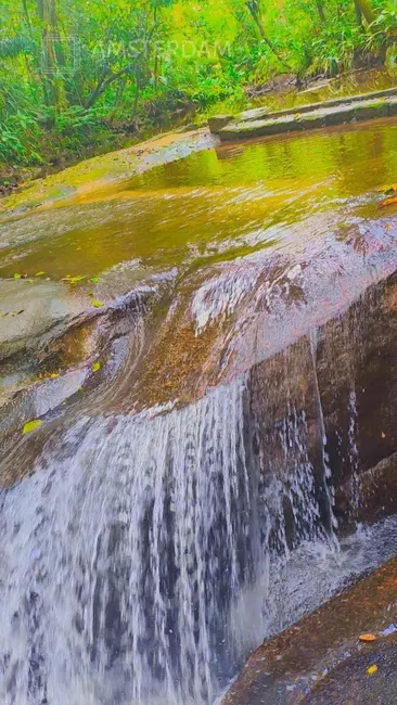 Foto 7 de Sítio / Rancho com 3 quartos à venda, 300m2 em Bertioga - SP