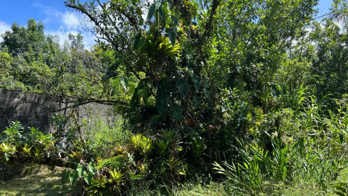 Foto 7 de Casa de Condomínio com 4 quartos à venda, 200m2 em Bertioga - SP