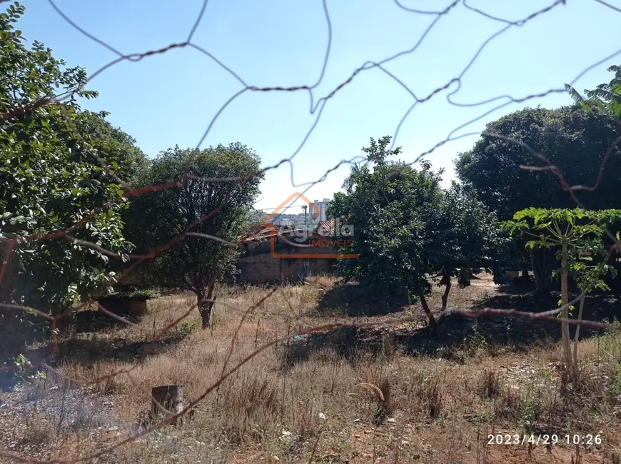 Foto 4 de Terreno / Lote à venda, 1992m2 em Santa Cruz, Mogi Mirim - SP