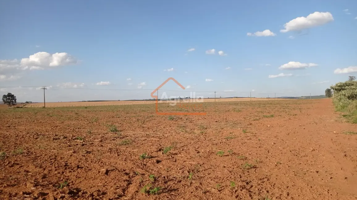 Foto 7 de Sítio / Rancho à venda em Martim Francisco, Mogi Mirim - SP