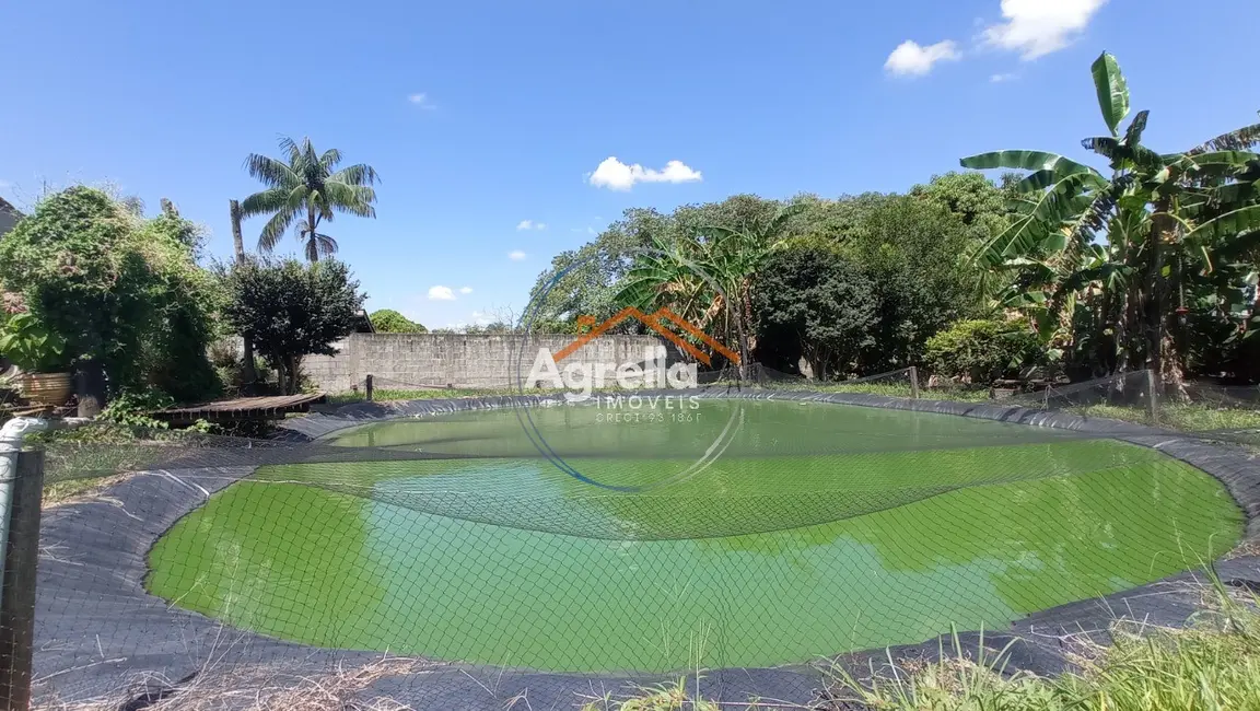Foto 9 de Chácara com 2 quartos à venda, 130m2 em Mogi Mirim - SP