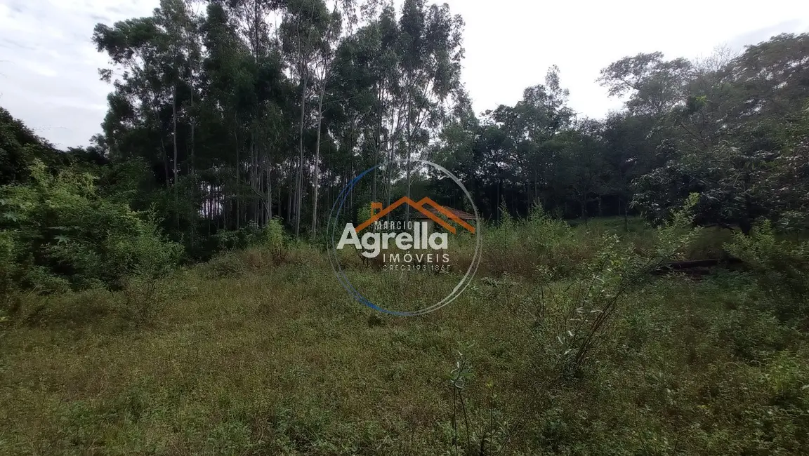 Foto 4 de Sítio / Rancho com 3 quartos à venda, 25000m2 em Jardim Primavera, Mogi Mirim - SP